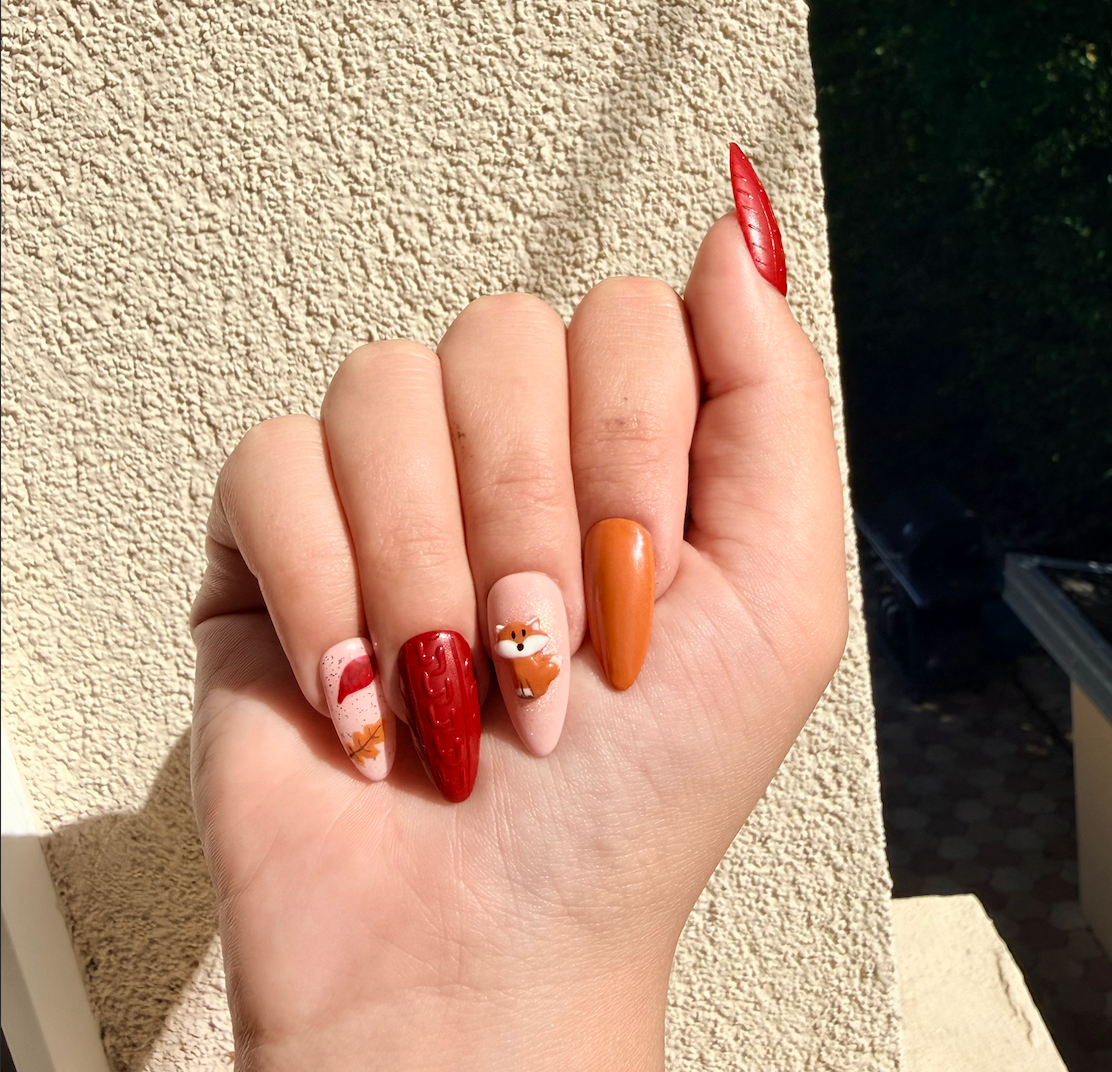Set Cozy Fox